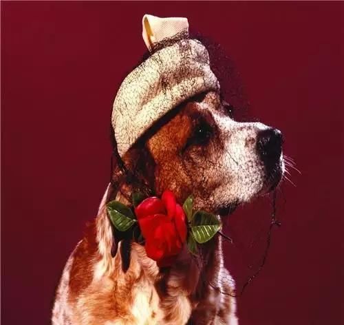 幽默笑话:有一架飞机,坐着美国人德国人日本人