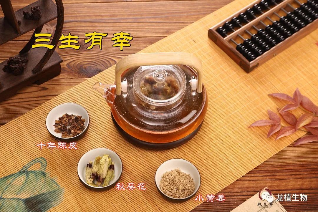 乾芝寿灵芝茶室传承中医药学“药茶文化”，开启魔都养生新体验！