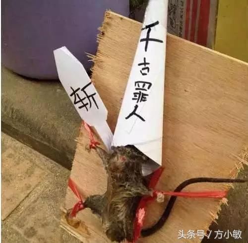 9,这难道是老鼠过街,人人喊打的节奏吗?