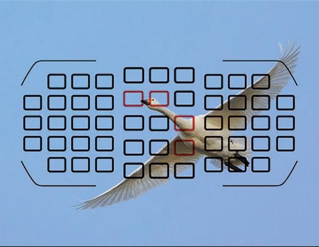 到底什么是自动对焦?