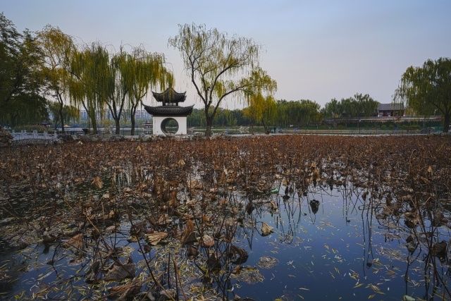 画质与性能并肩前行,索尼 A7R3 试用报告