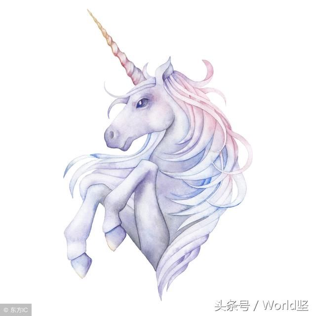 为什么我不打算参与这次独角兽战略基金的申购