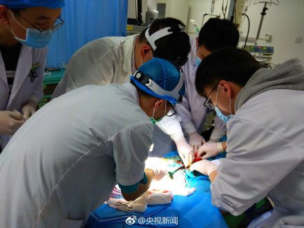 1月1日晚上8点左右，这名26岁的病人被送到了厦门大学附属第一医院进行就诊。可是在治疗过程中，病人突然出现了室颤、心脏骤停并且失去了意识。