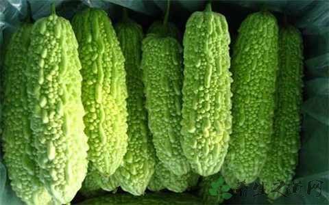 苦瓜炒肉丝苦瓜过水吗