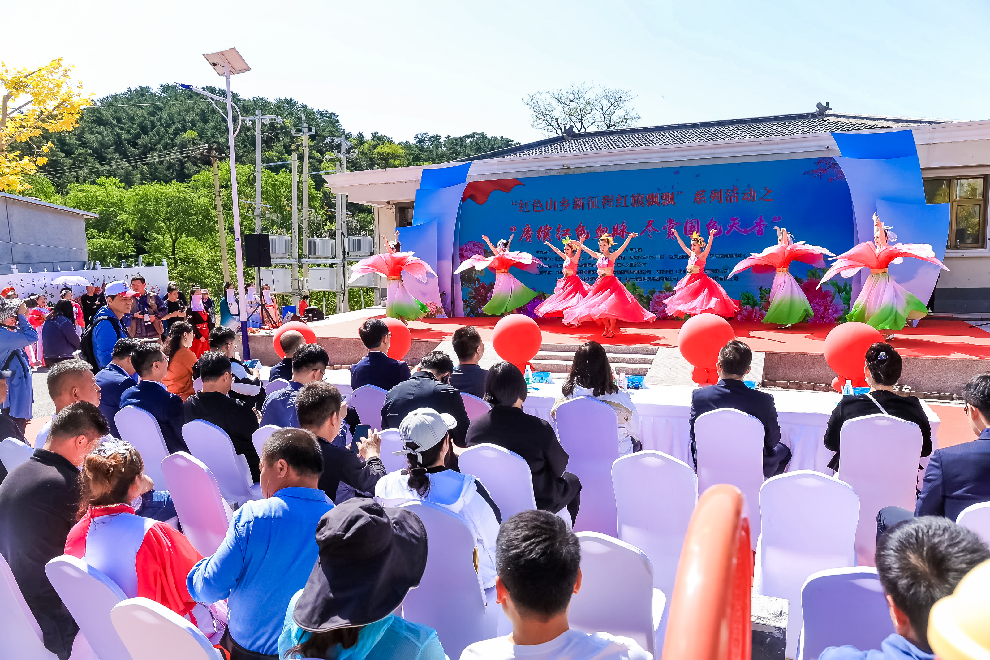 延庆牡丹文化节"花开花落二十日"至花期结束 "花样"活动等您来