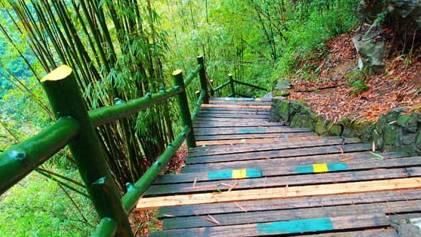 65岁以上老人景区免票!还不抓紧时间春游?