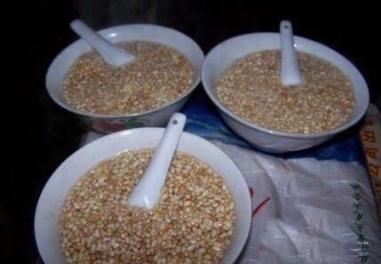 这东西叫炒米糖开水,是用炒米和