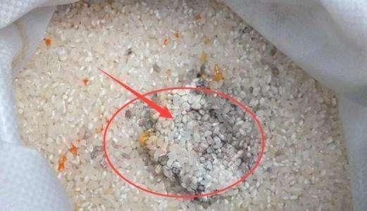 家中“它”竟是癌症温床 早点丢掉