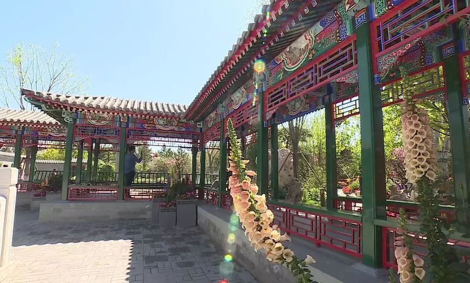 牌楼,胡同,四合院…一分钟带您了解世园会里的北京园