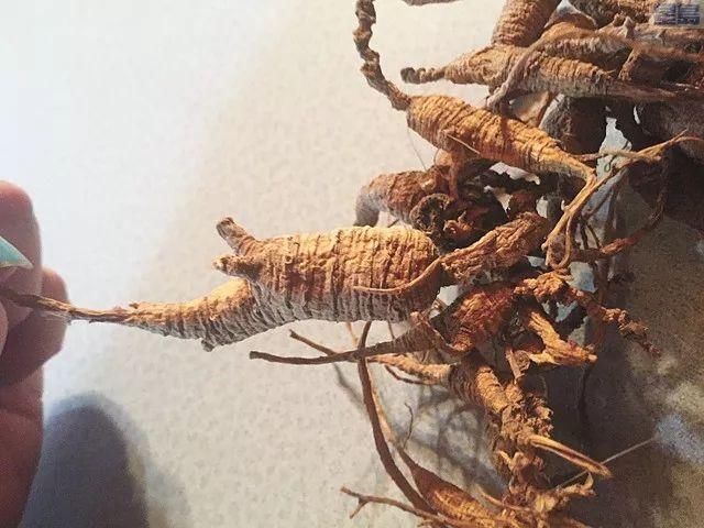 英国华人在中国海关被扣罚款!海外回国过年,这