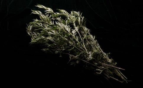 西安老中医治疗夏天湿气重 艾灸可以去湿气