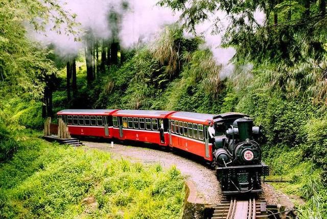 2018台湾阿里山旅游攻略,乘坐森林小火车带你