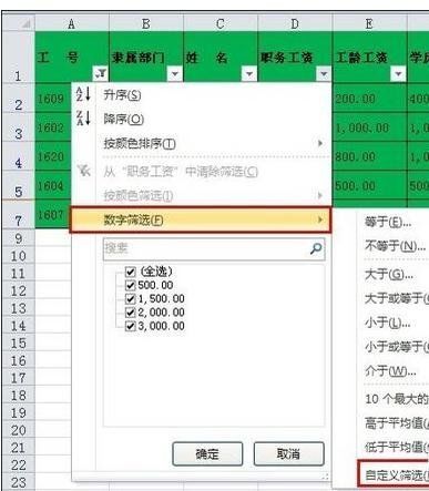 excel:怎么在excel表格中进行自定义筛选