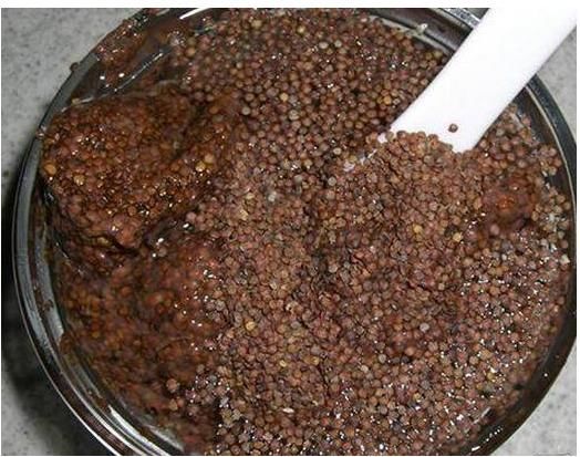 用海藻面膜敷脸,到底有什么好处?为啥很多女