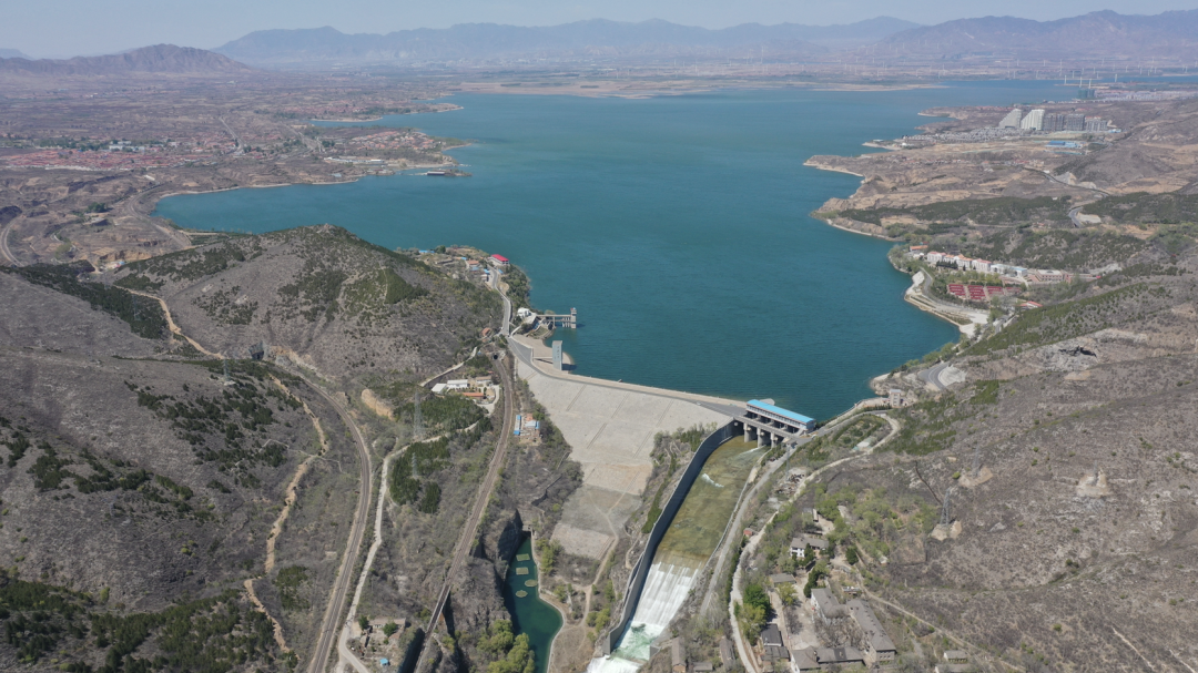 70岁官厅水库，飞鸟游鱼来安家