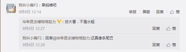 蛇头上怎么就长出了一只“角”？这是怎么一回事？新品种？还是“洞中千年修此身”？网友戏谑地称，这是“自带天线”，“再长一只（角）就是龙了”，也有网友猜测“可能是变异了”……赵力先生疑惑了，一众网友也疑惑了，就连两栖动物学业内对此都有了关注。“这条烙铁头的头上怎么长了一只角？”
6日中午，赵力更新了朋友圈消息，在他发布的图中，一条黄褐相间的烙铁头在路上扭曲爬行，蛇头像一块厚重的倒三角锈铁块。和一般的蛇不一样，这条蛇的头上有一根形似火柴的突出，颜色和蛇的身体相似，像是一根独角。独角蛇？好像没有这个品种啊。
“前短时间我去青城山上做调查，回来路上碰见的。”赵力回忆，当天他下山到山脚时，已是晚上9点多，“我带着头灯，在一条大路上就看到这条蛇正准备过马路。”他没有走的太近，在相隔一米左右的距离给这条蛇拍了几张照片，“可以做个记录。”