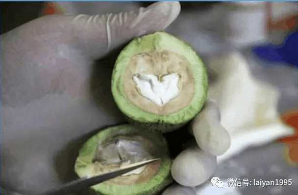 有喝过青核桃泡酒的吗, 核桃皮泡酒治疗胃痛、