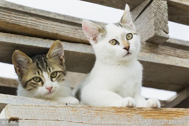 融资租赁会计处理及税收政策汇总