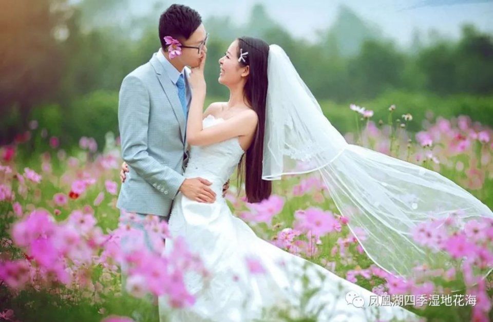 太仓双凤即将出现一座1500亩的大型景区!规划