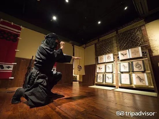 盘点清单 | 2018年必去全球50个目的地,你都想