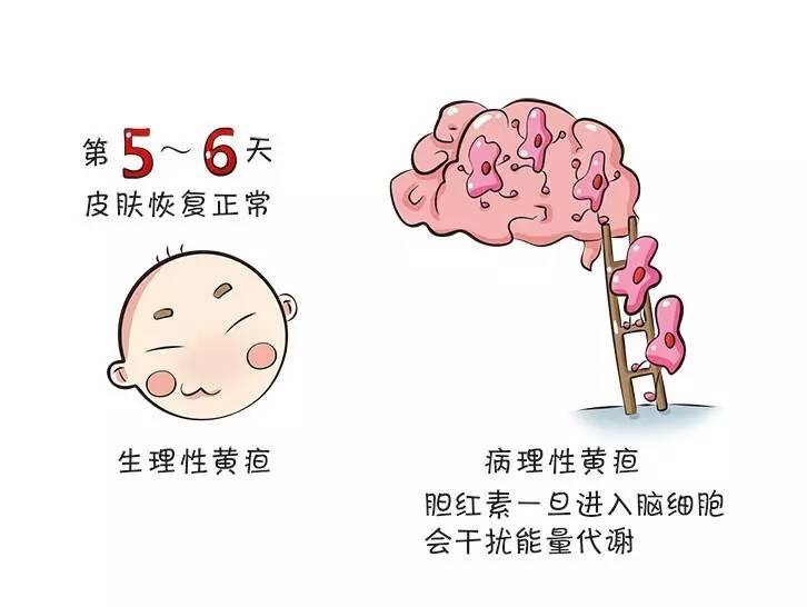 t012b52520a12424ee0.jpg?size=726x546