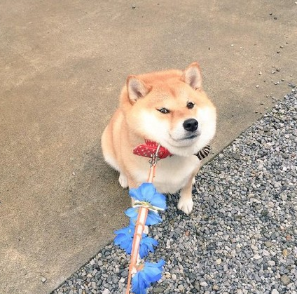 这是一场说不走就不走的旅行