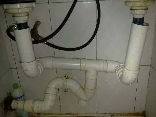 家里放一物绝对没蟑螂