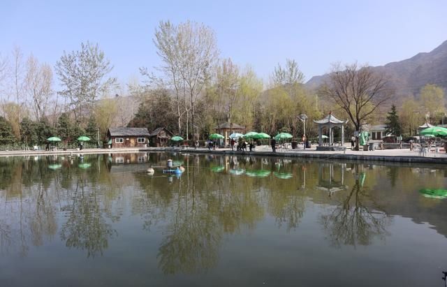 黑坑钓鱼技巧全攻略|想知道坑里有什么鱼,3点足