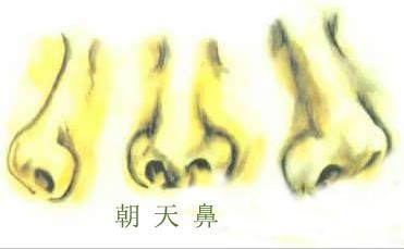 鼻头垂肉的男人一毛不拔,是个铁公鸡,一生人缘