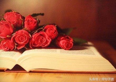 致自己一段真实的话,身心累了就看看!