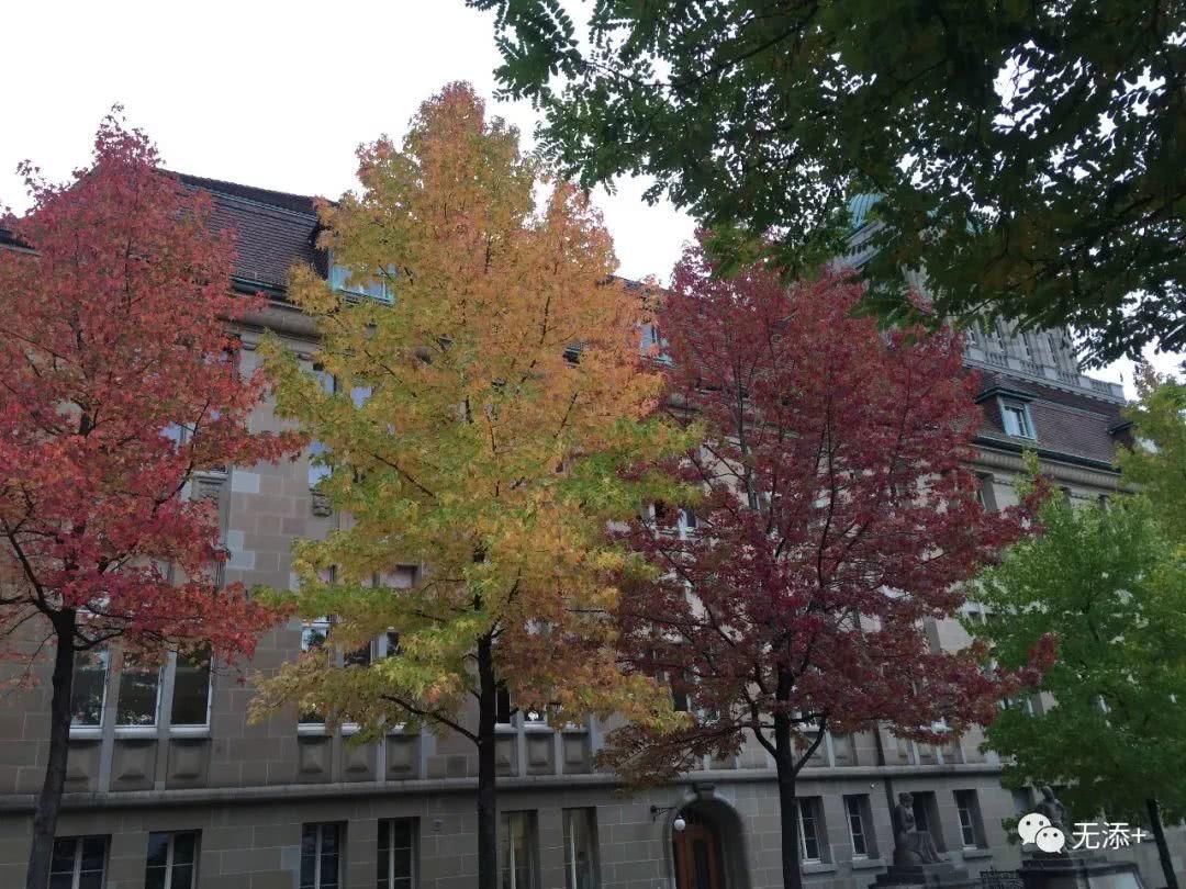 我把那封信留在苏黎世的从前