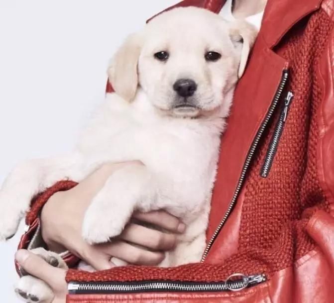 最近王俊凯粉丝的醋坛子打翻了,男孩子还是要