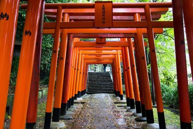 那么多中国人喜欢去日本旅游,是哪里太吸引人