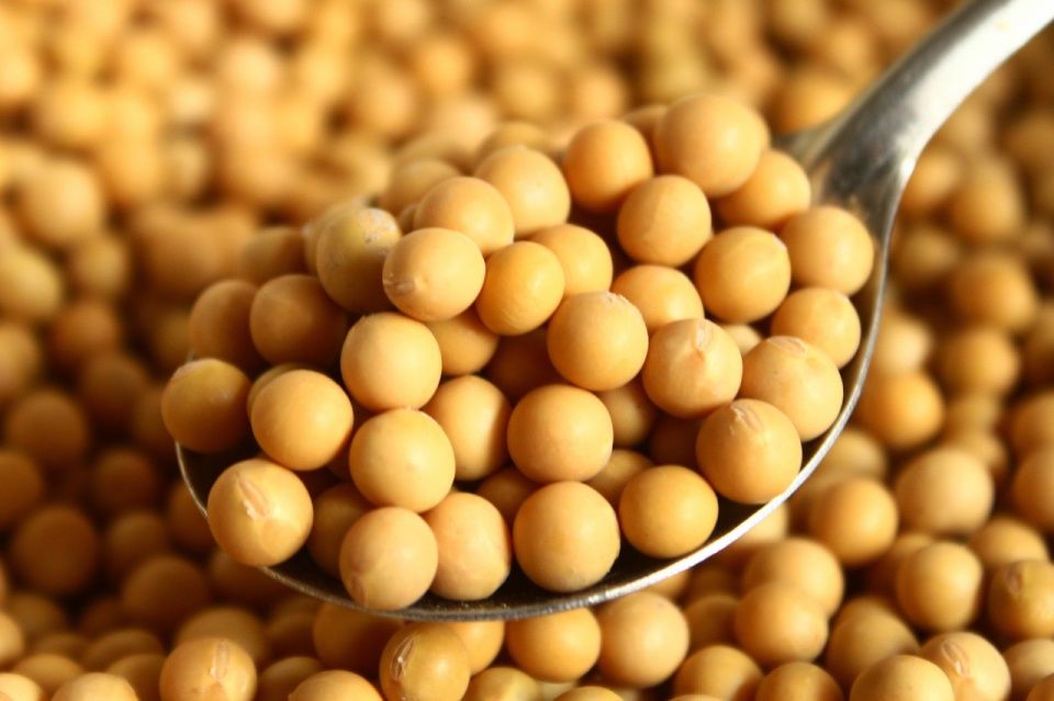 可软化血管的15种食物_软化血管的食物有哪些 可软化血管的15种食物_软化血管的食物有哪些