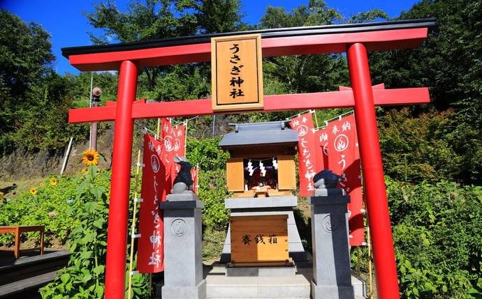 图解日本寺院功德箱里的钱被偷了会怎样?功德