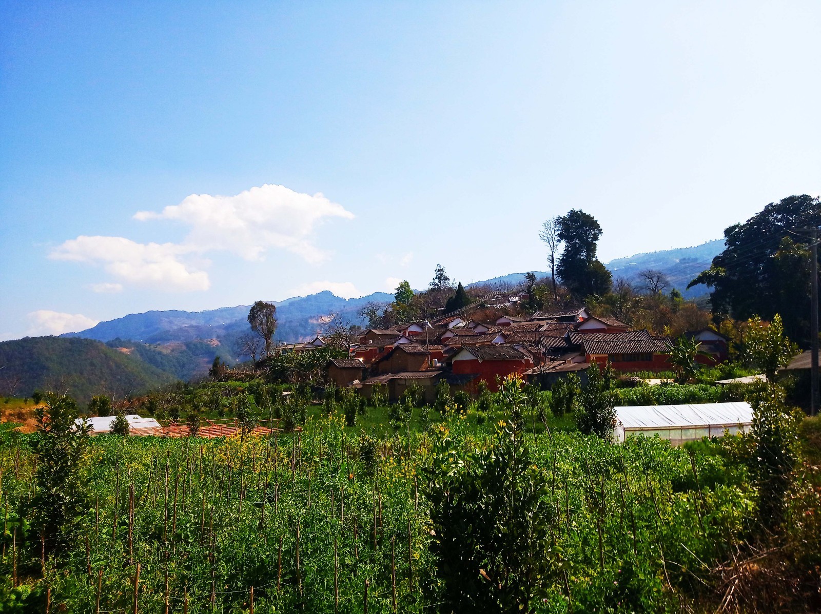 云南省临沧市凤庆县姚青春2019春节回老家自