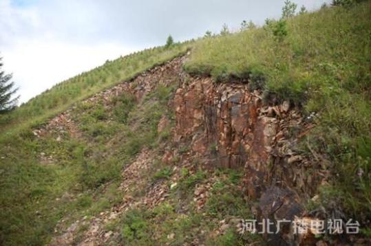 塞罕坝:55年,三代人,一个沙漠变绿洲的奇迹_北京时间