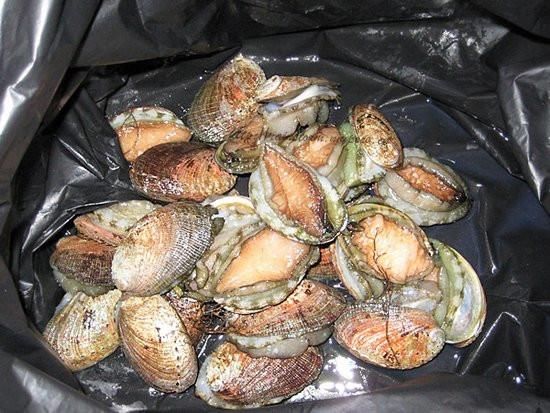 生蚝的肚子里有一块绿色的东西,这是生蚝吃过的食物,不卫生,最好不吃