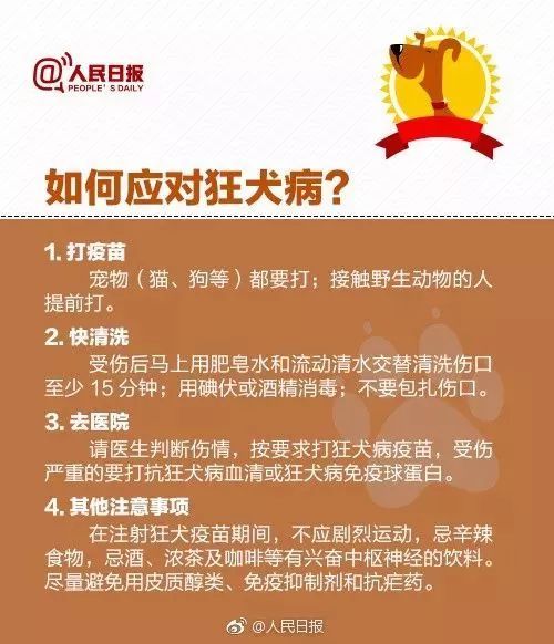 29岁男子被老鼠咬了一口 没过几天疯狂啃咬自己