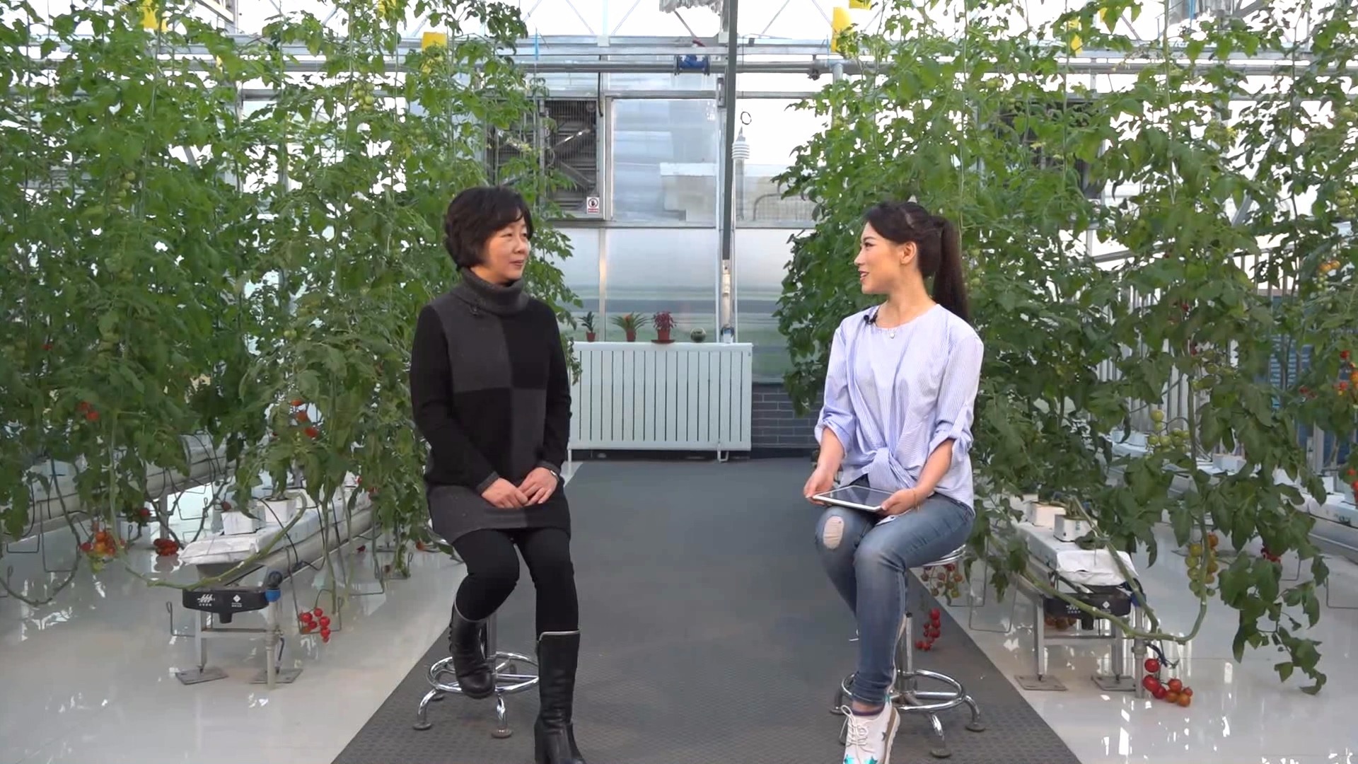 《政协e事厅》王蕾:领略室内操的神奇魅力 《政协e事厅》王蕾:领略室内操的神奇魅力