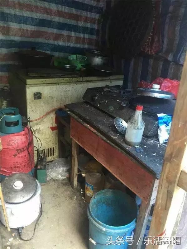 男子酗酒如命神志不清,留下弱妻和5个黑户孩