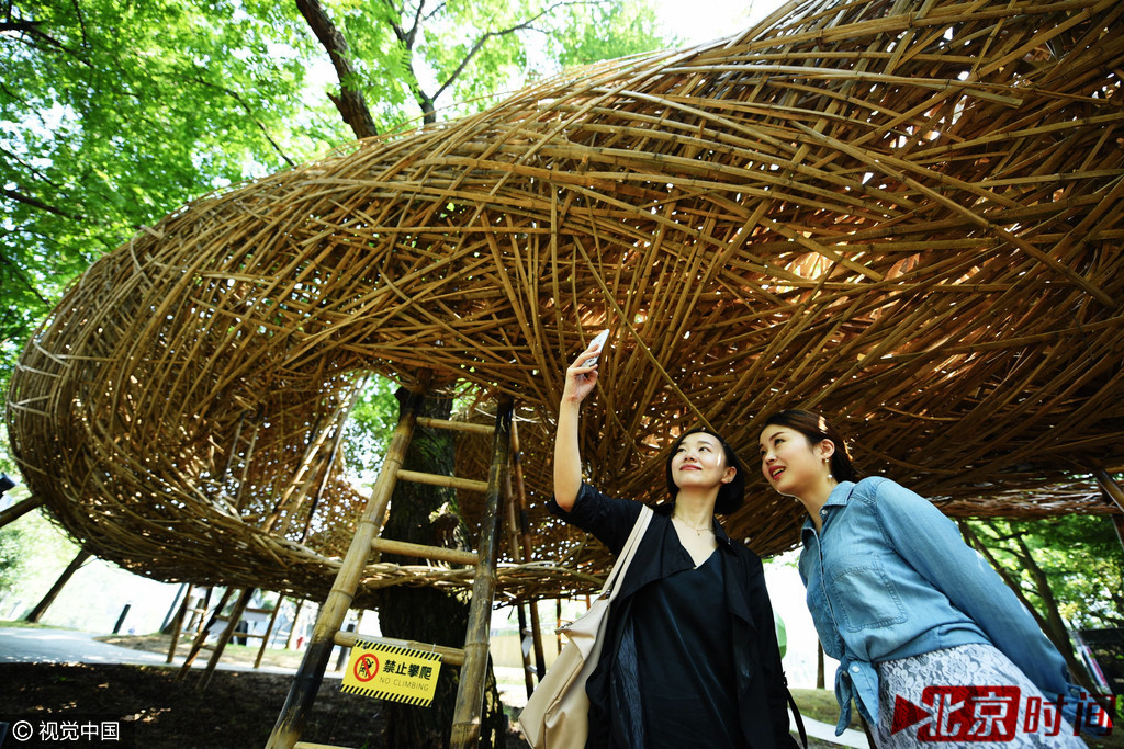 参观者在观看用毛竹编成的巨型“鸟巢”。