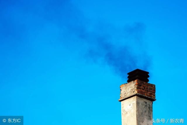 禁养令让农村养殖受限,专家表示支持,农民却