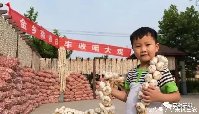 2018金乡大蒜节时间定了!