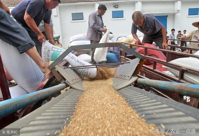 农民种地越来越不赚钱,是什么导致农民日子为