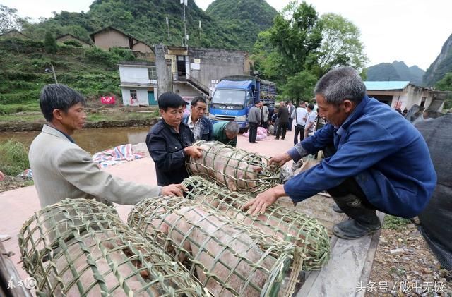 陇农杂谈:贫困户人均可支配收入的具体计算方