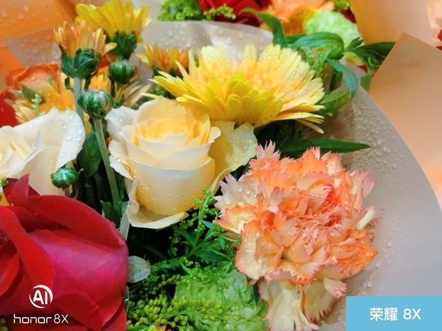 荣耀8X、坚果Pro2S、小米8 SE拍照对比评测