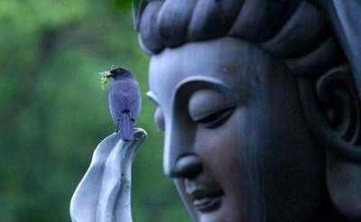 佛門對聯大全 大徹大悟 雪花新闻