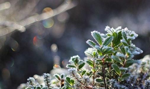 这5大类降压药的正确使用方法,儿女一定要学会