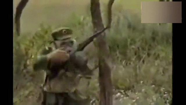 图为日媒拍摄下的画面